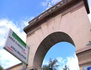 Legionella, morto dopo trapianto di reni al Sant’Orsola di Bologna