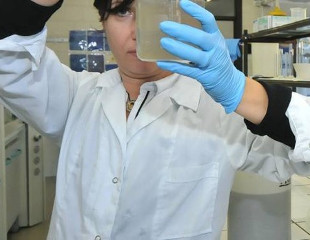 Incubo legionella: quattro i casi tra Bresso e Cormano