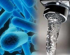 Novità nella Normativa dell'Acqua Potabile: Sicurezza e Prevenzione della Legionella